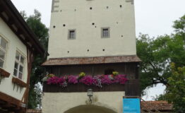 DSC07736